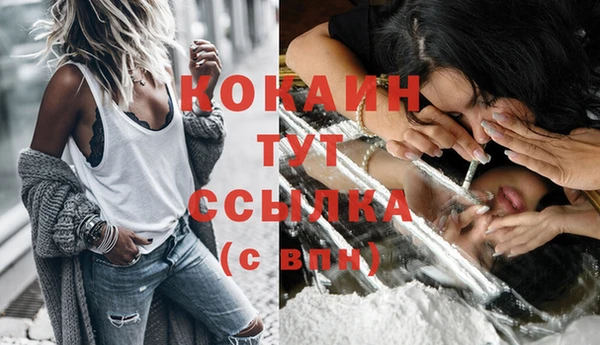 мдпв Карталы
