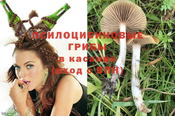 не бодяженный Карпинск