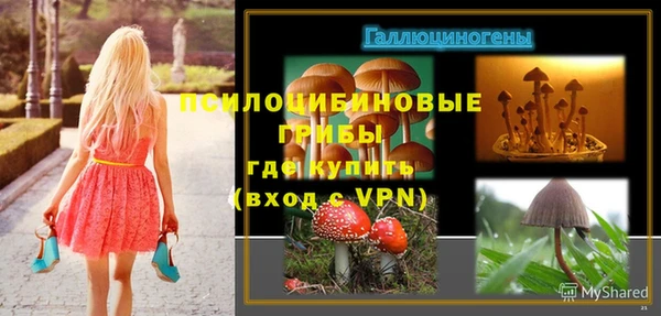 мдпв Карталы