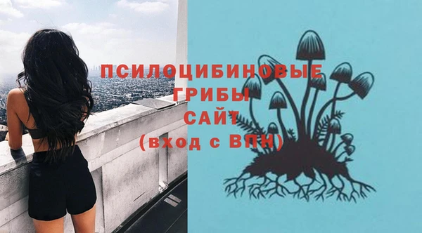 мдпв Карталы