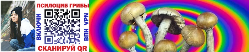 Галлюциногенные грибы Cubensis  Купить  Электроугли 
